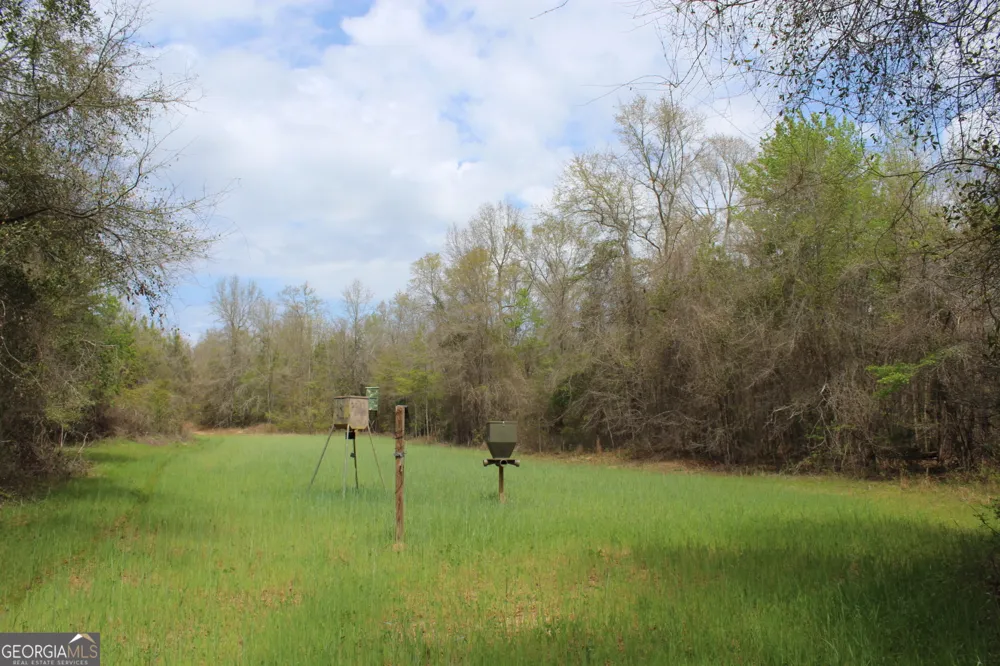 337+/- AC Hwy 137 Buena Vista, GA 31803