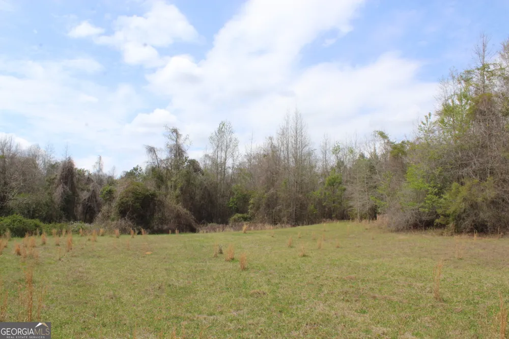 337+/- AC Hwy 137 Buena Vista, GA 31803