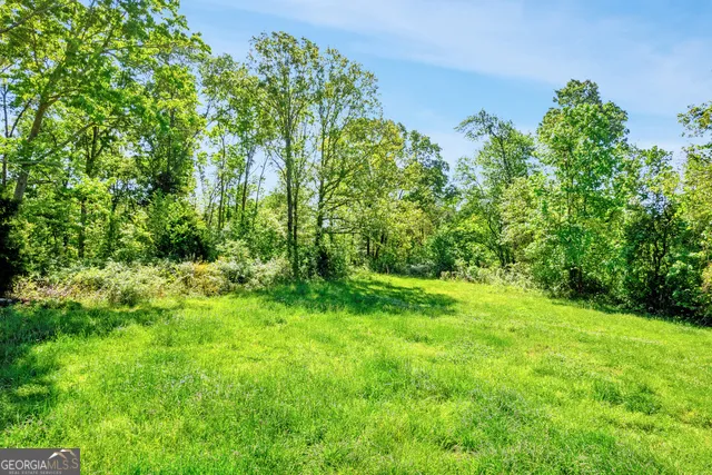 963 Gooseneck RD Eastanollee, GA 30538