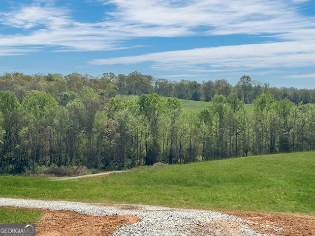 963 Gooseneck RD Eastanollee, GA 30538
