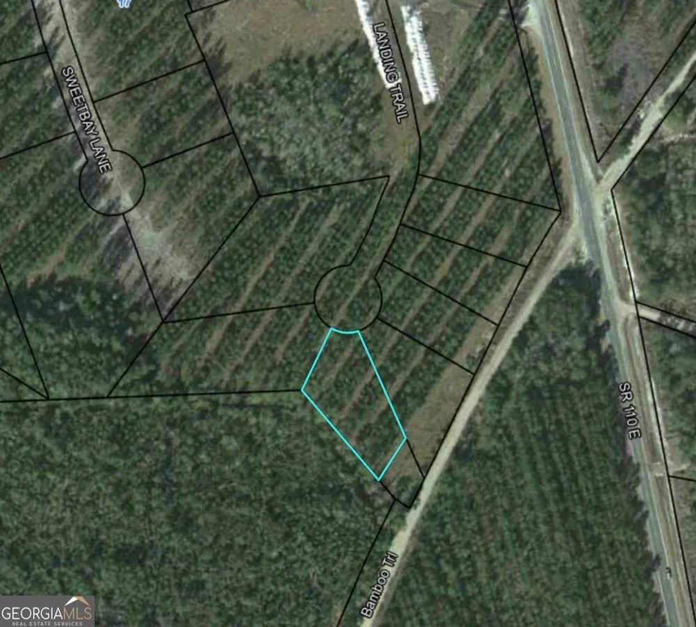 LOT 33 Landing TRL Waynesville, GA 31566