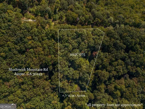 0 Shadowick Mountain RD