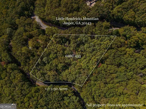 0 Little Hendricks Mountain RD
