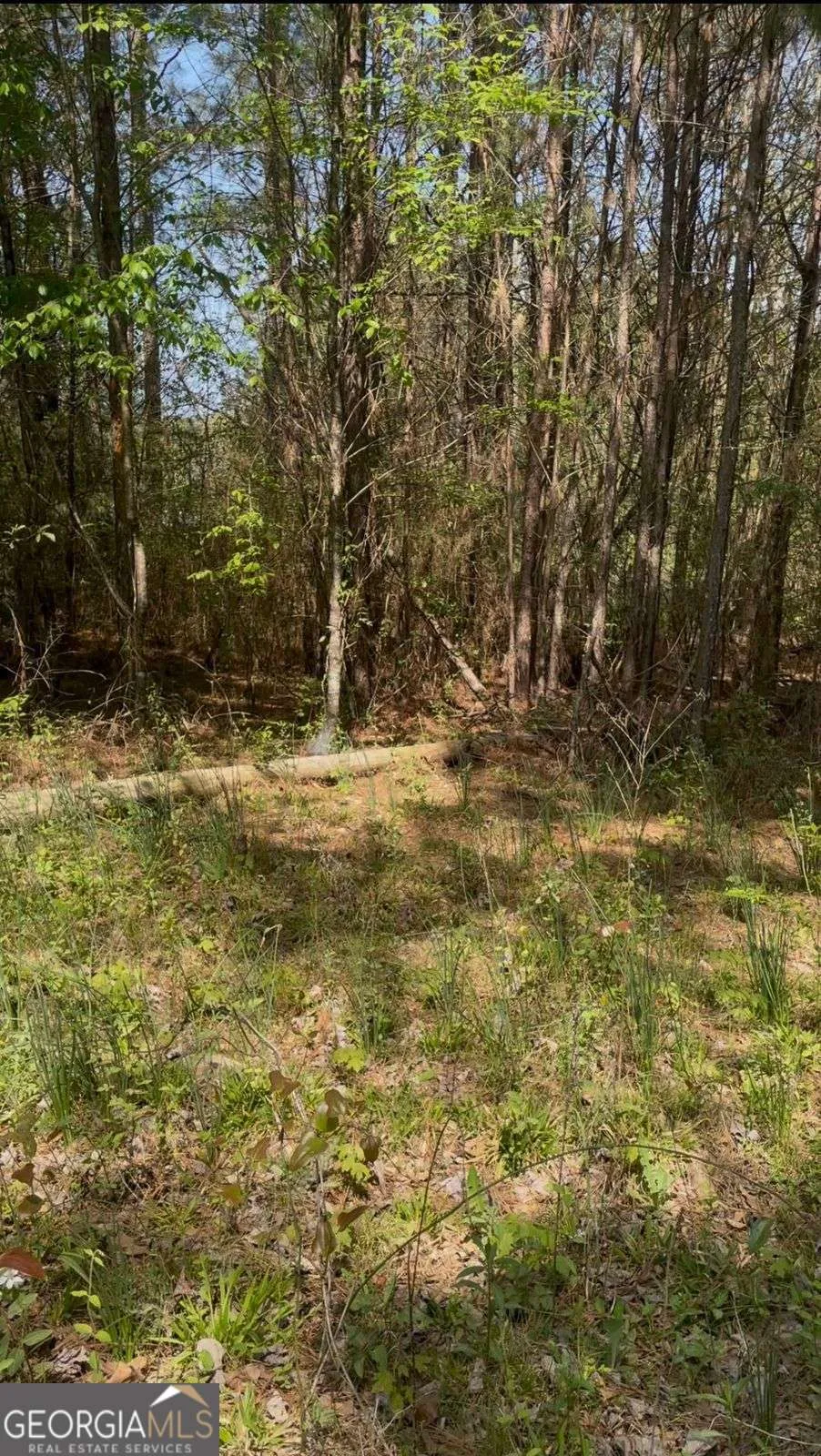 2557 Washington HWY Elberton, GA 30635