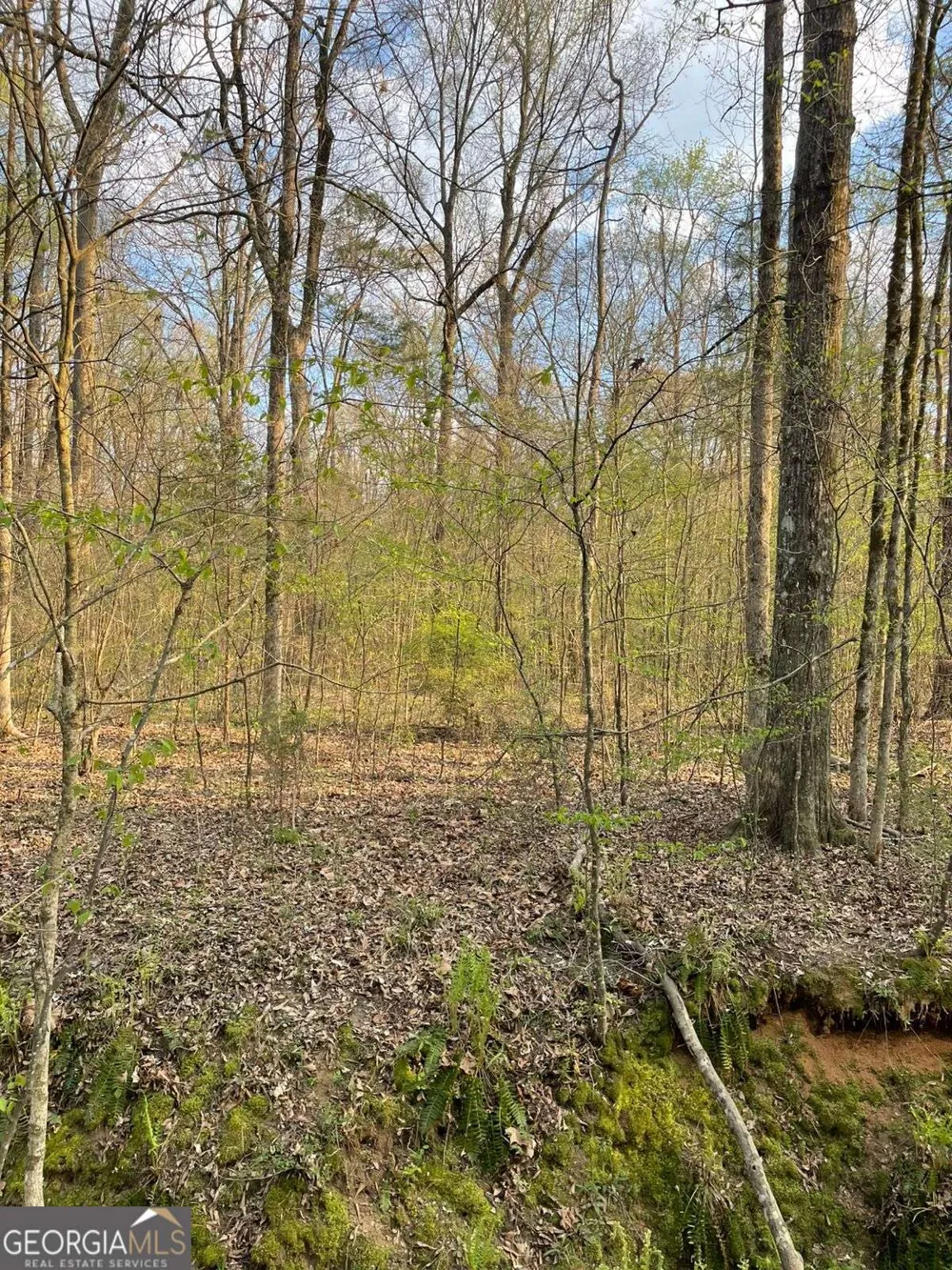 2557 Washington HWY Elberton, GA 30635