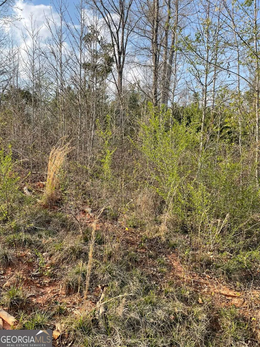 2557 Washington HWY Elberton, GA 30635