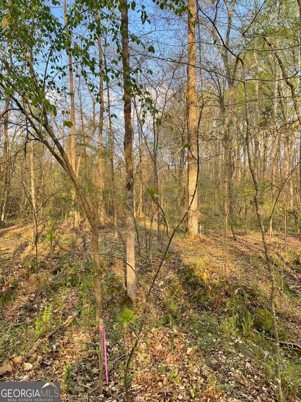 2557 Washington HWY Elberton, GA 30635