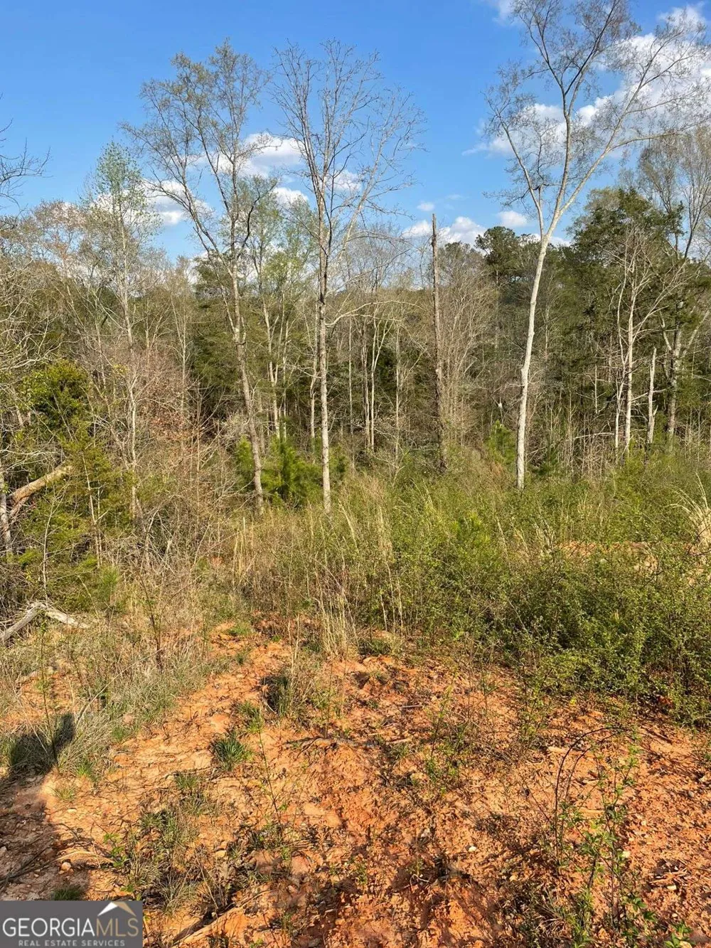 2557 Washington HWY Elberton, GA 30635