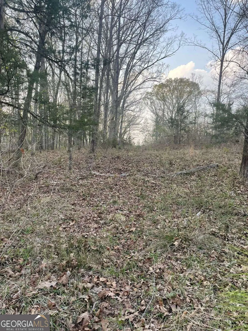 2557 Washington HWY Elberton, GA 30635