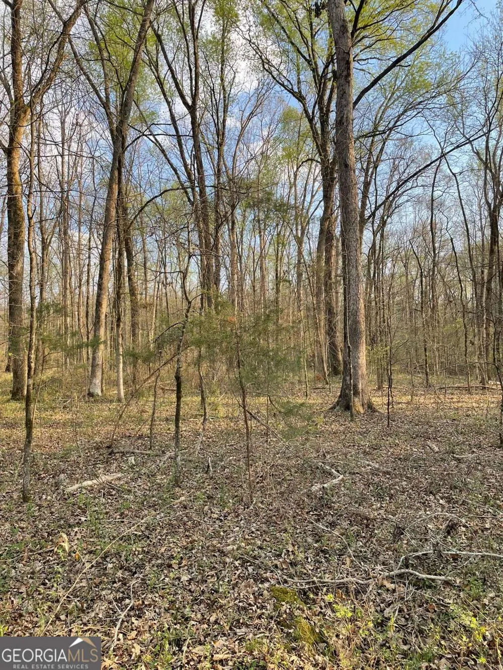 2557 Washington HWY Elberton, GA 30635