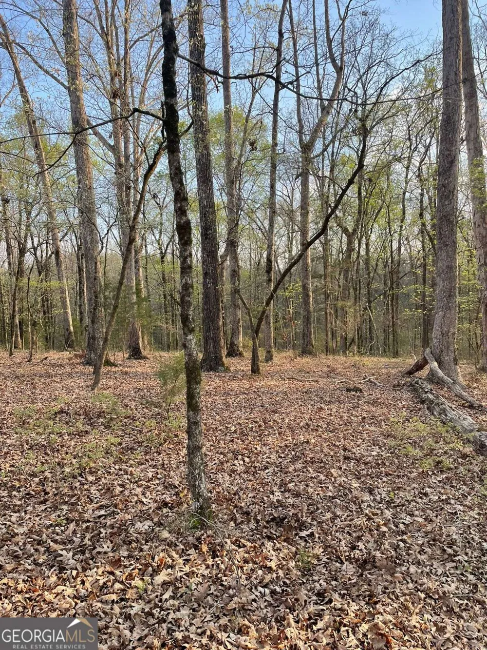 2557 Washington HWY Elberton, GA 30635
