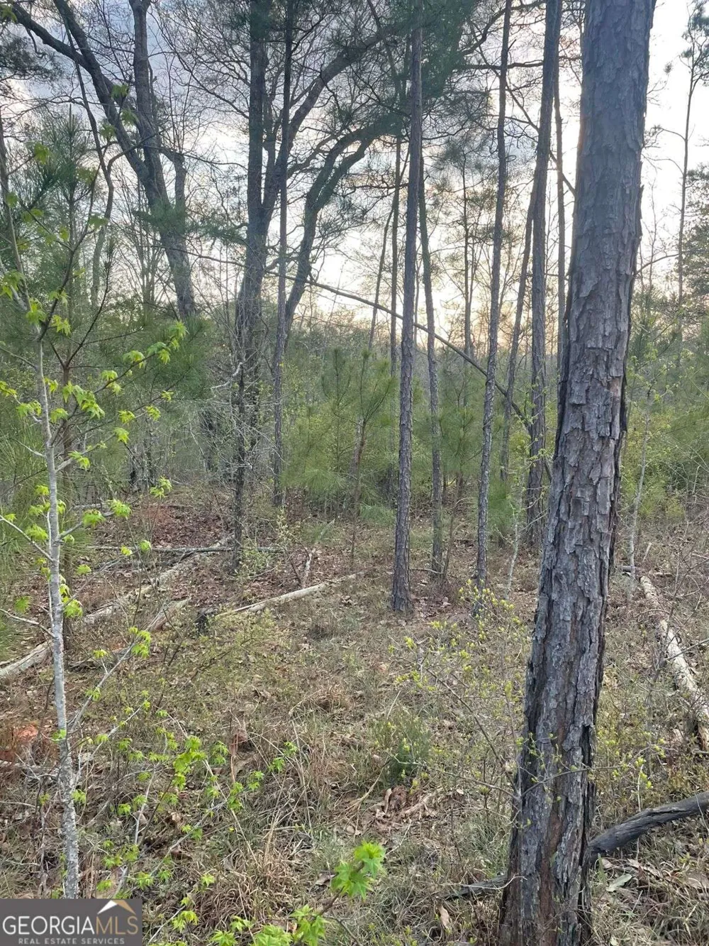 2557 Washington HWY Elberton, GA 30635