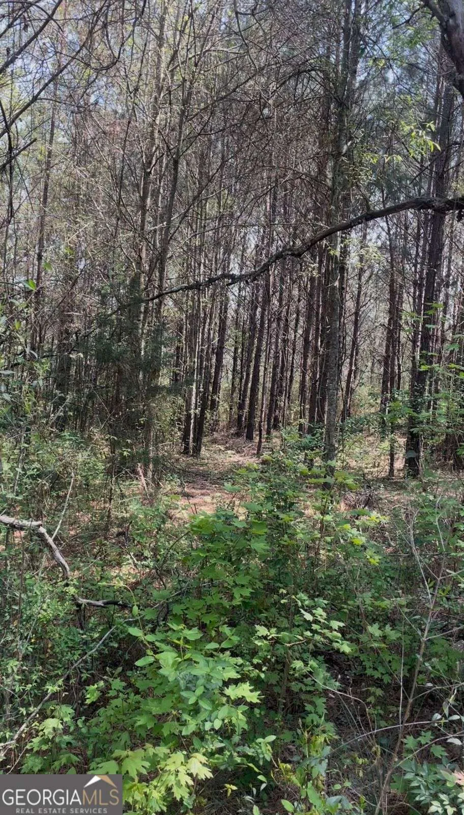 2557 Washington HWY Elberton, GA 30635