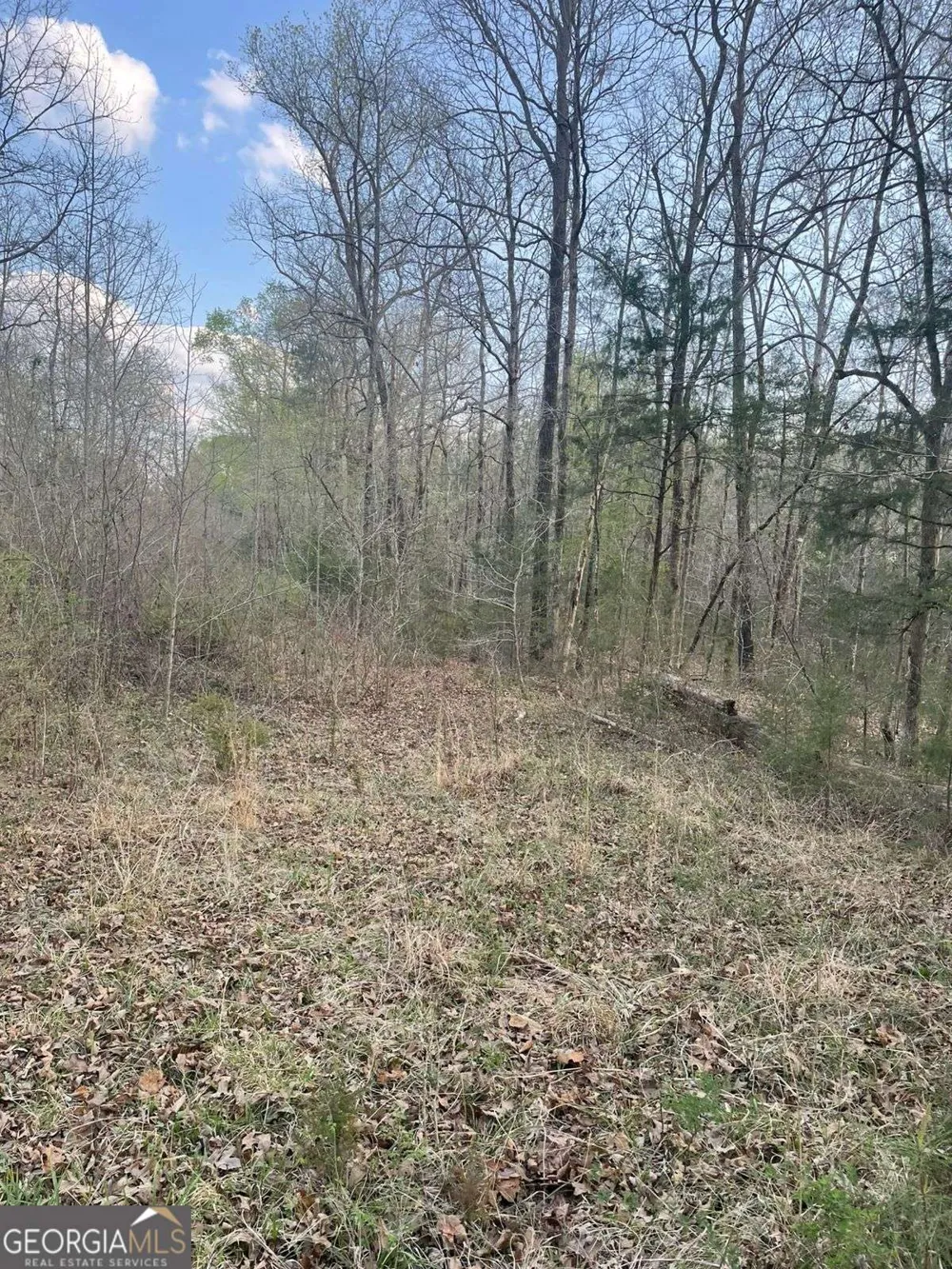 2557 Washington HWY Elberton, GA 30635