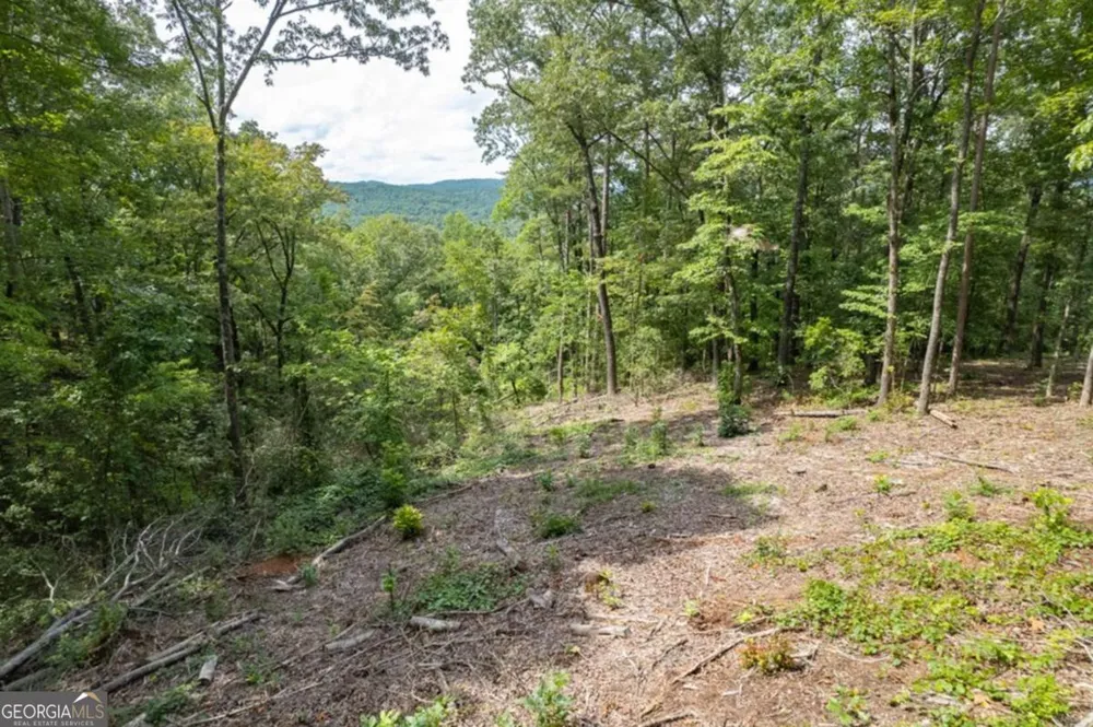 LOT 314 Pebble TRCE Talking Rock, GA 30175