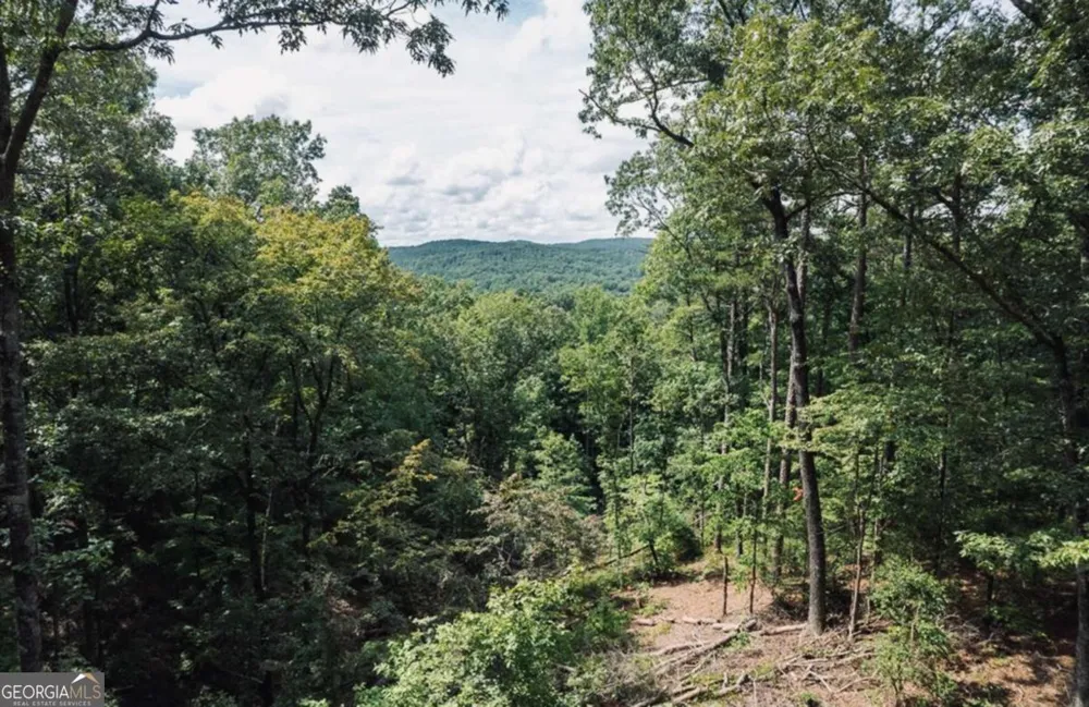 LOT 314 Pebble TRCE Talking Rock, GA 30175