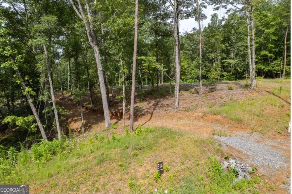 LOT 314 Pebble TRCE Talking Rock, GA 30175