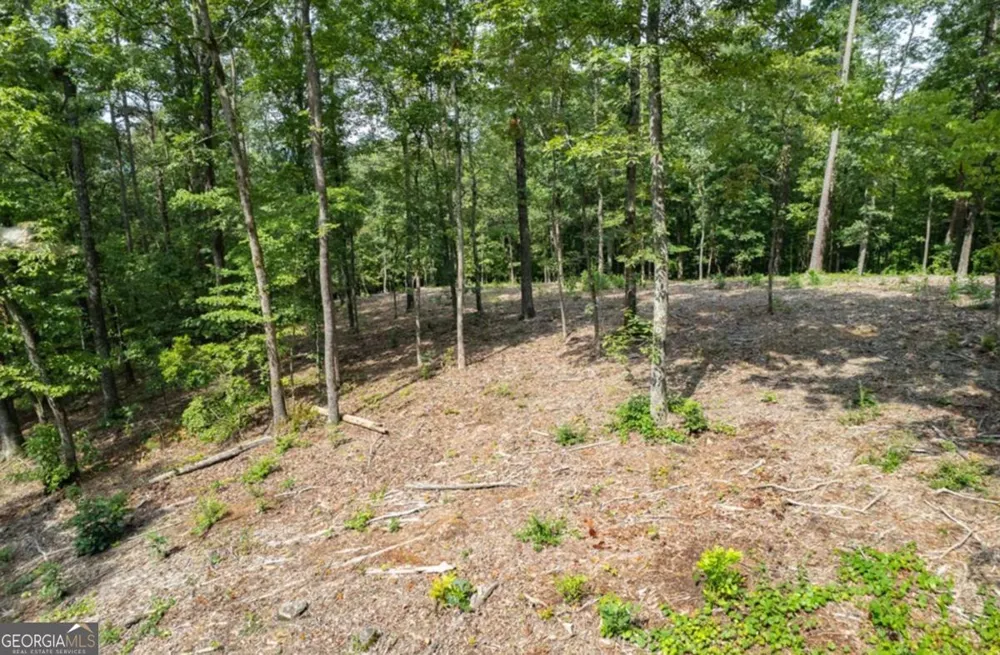 LOT 314 Pebble TRCE Talking Rock, GA 30175