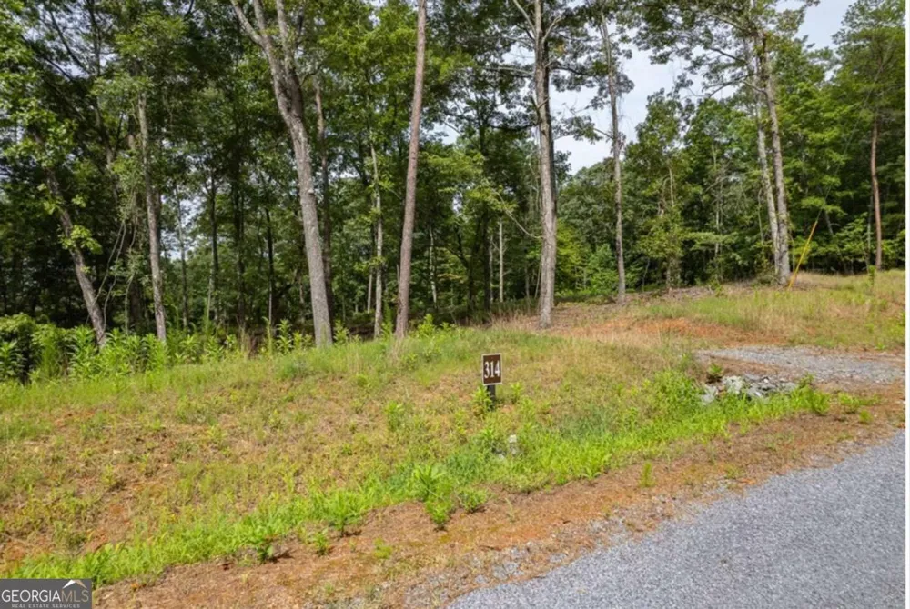 LOT 314 Pebble TRCE Talking Rock, GA 30175