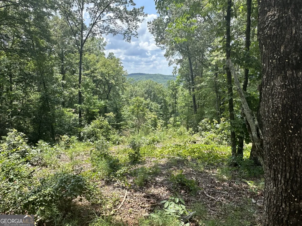 LOT 314 Pebble TRCE Talking Rock, GA 30175