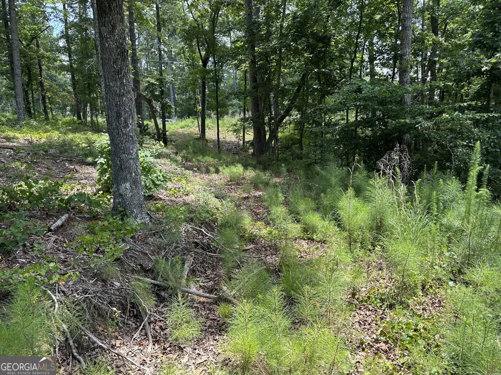 LOT 314 Pebble TRCE Talking Rock, GA 30175