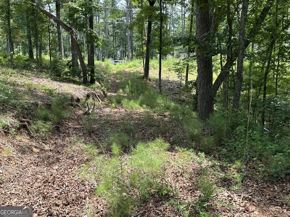 LOT 314 Pebble TRCE Talking Rock, GA 30175