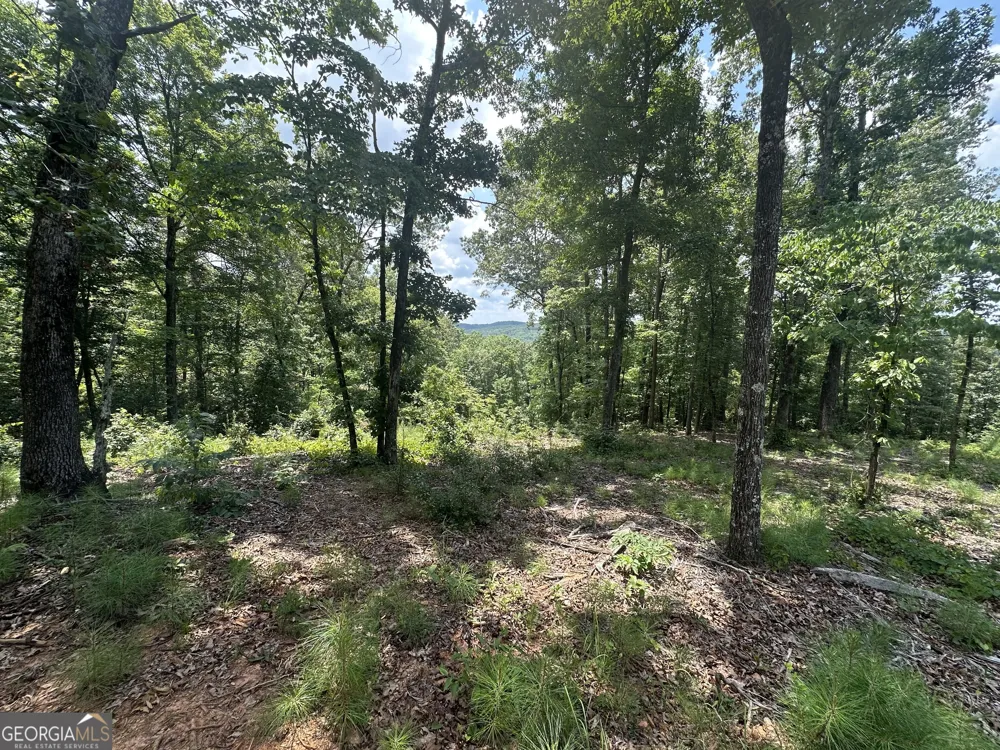 LOT 314 Pebble TRCE Talking Rock, GA 30175