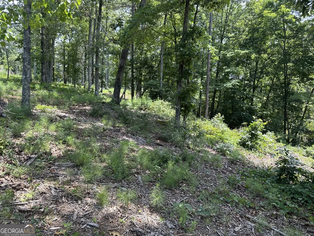 LOT 314 Pebble TRCE Talking Rock, GA 30175