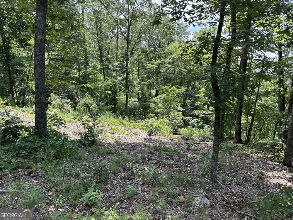 LOT 314 Pebble TRCE Talking Rock, GA 30175