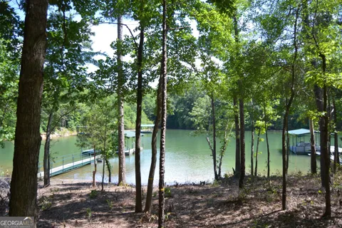 913 Paynes Creek RD