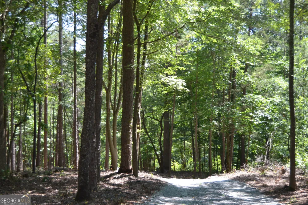 913 Paynes Creek RD Hartwell, GA 30643
