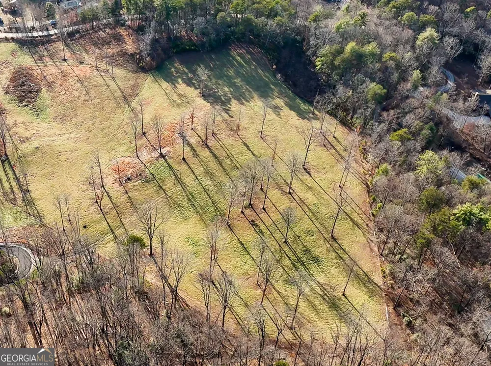 0 David DR Tiger, GA 30576