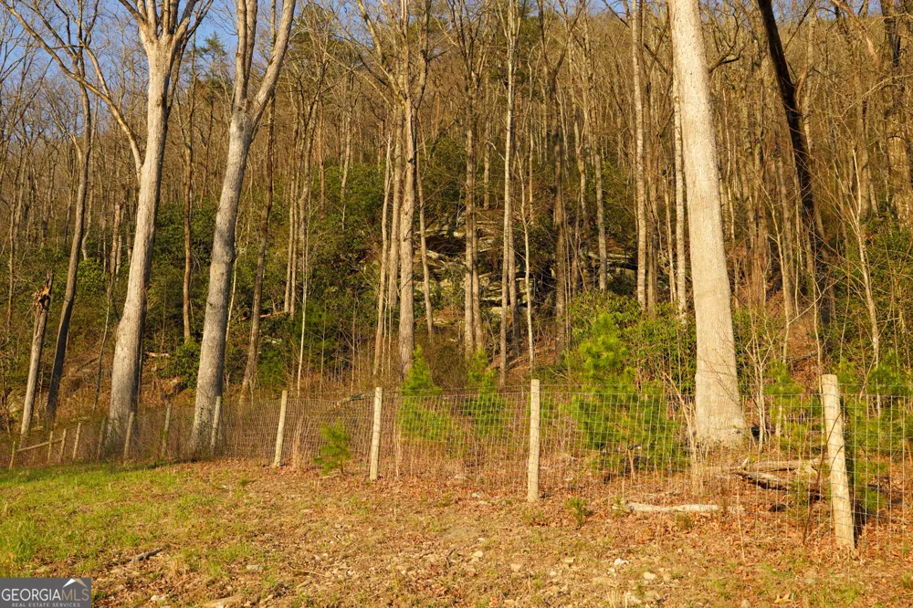 0 David DR Tiger, GA 30576