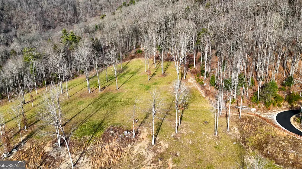 0 David DR Tiger, GA 30576