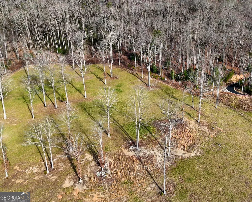 0 David DR Tiger, GA 30576