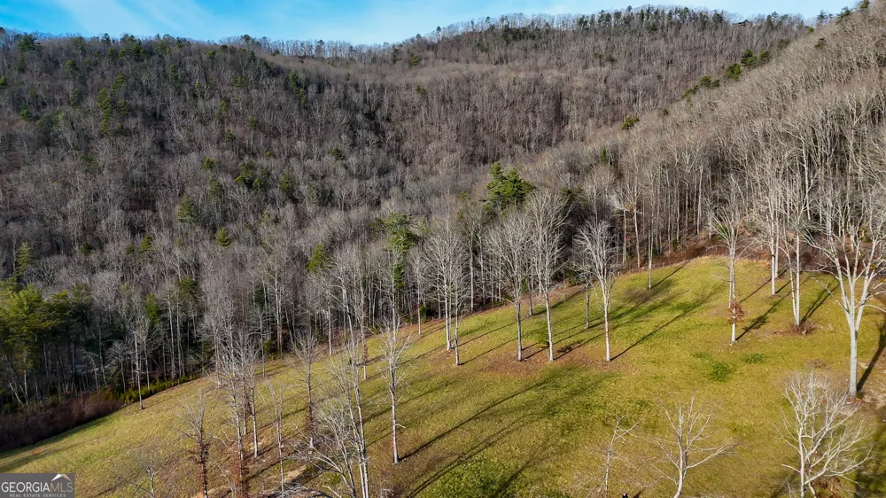 0 David DR Tiger, GA 30576
