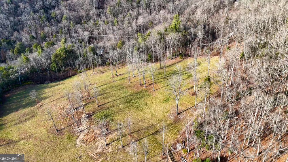 0 David DR Tiger, GA 30576