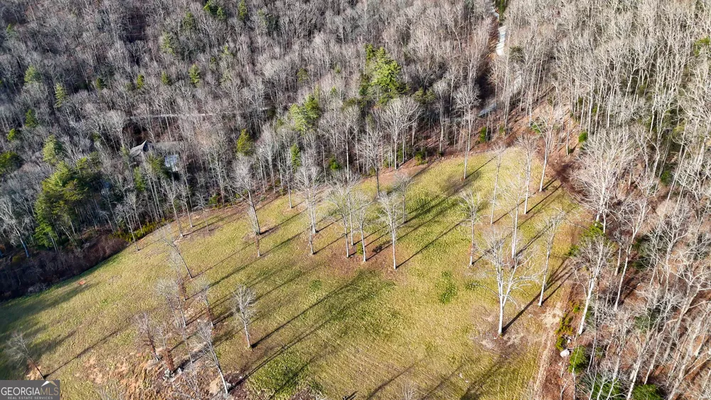 0 David DR Tiger, GA 30576