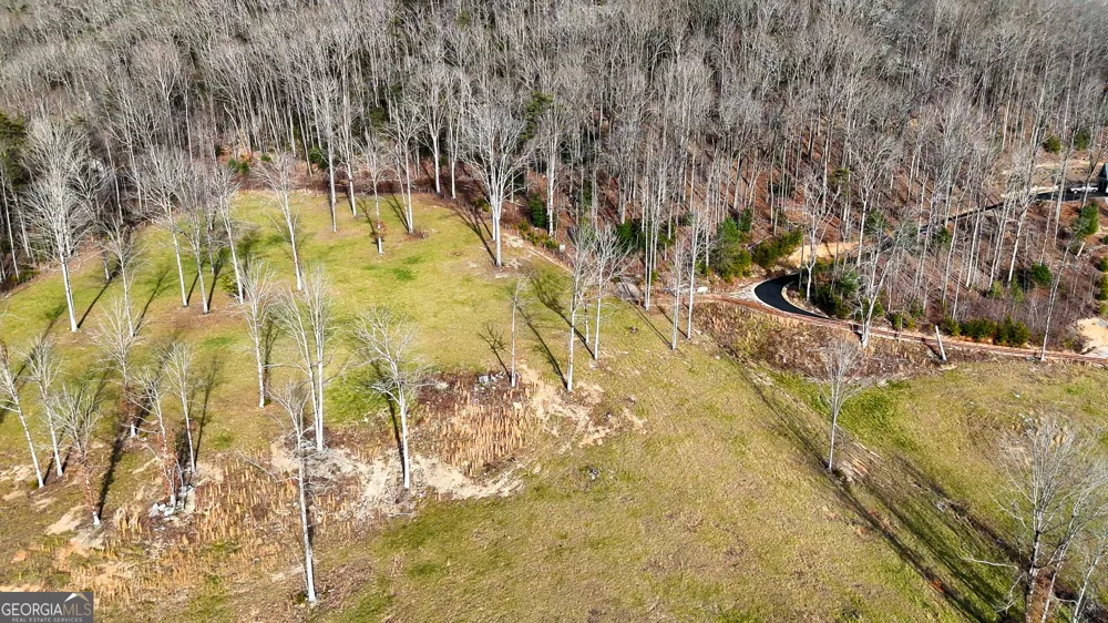 0 David DR Tiger, GA 30576