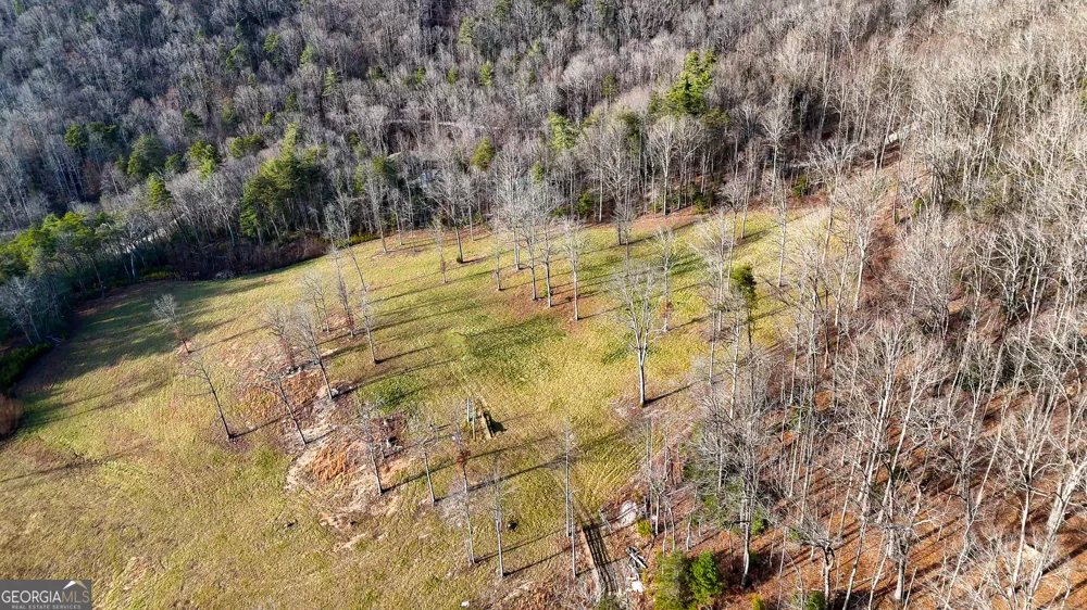0 David DR Tiger, GA 30576
