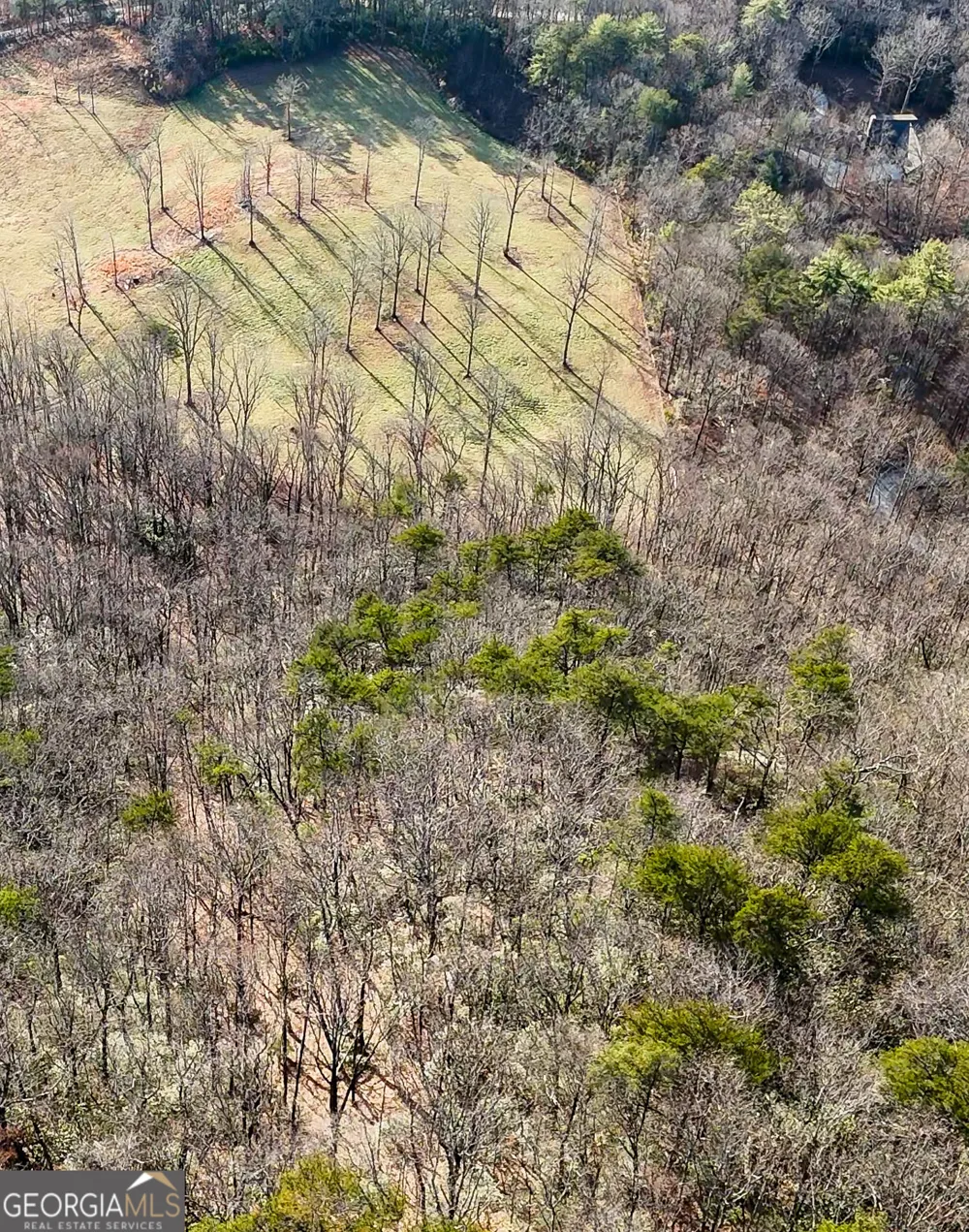 0 David DR Tiger, GA 30576