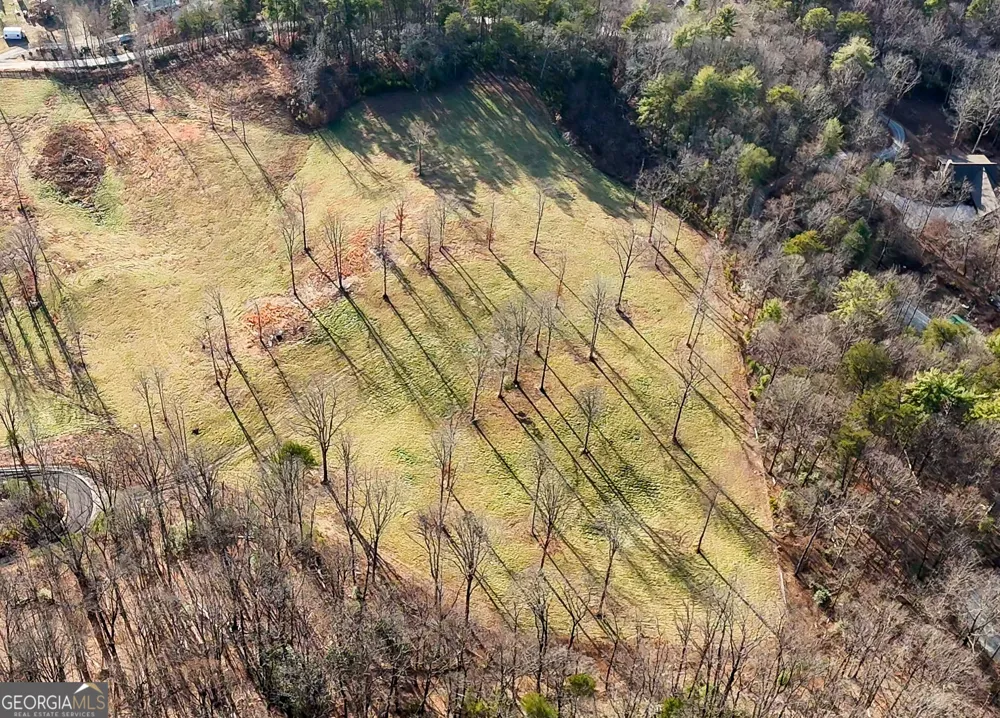 0 David DR Tiger, GA 30576