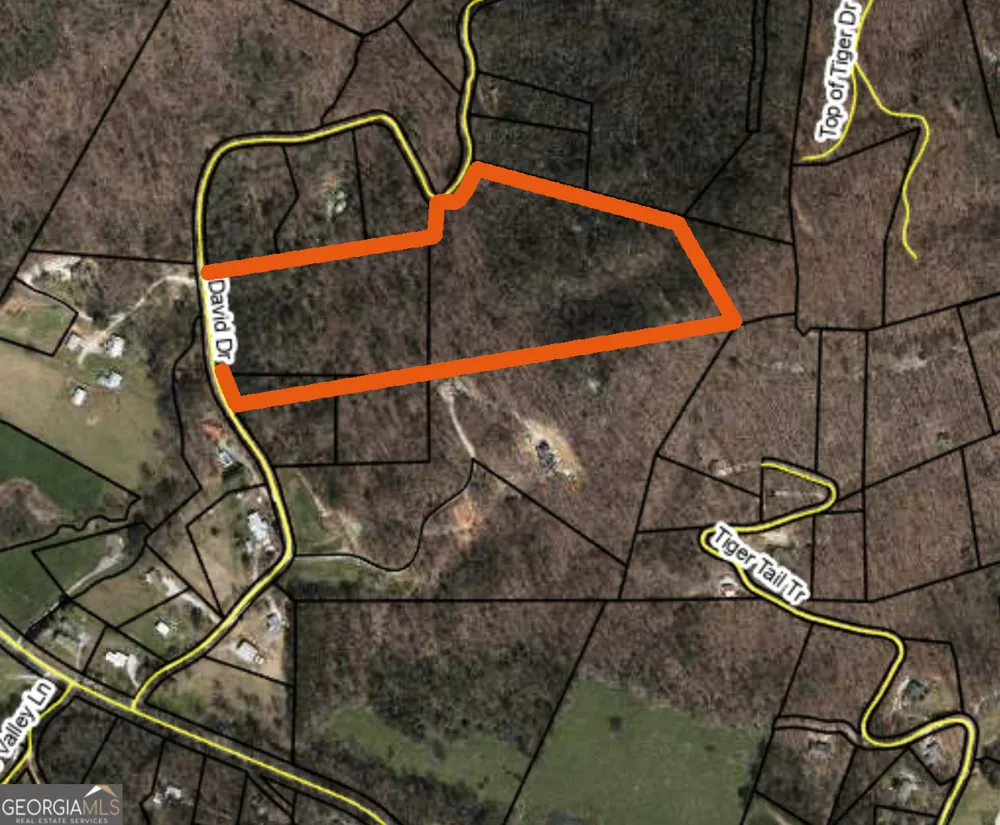 0 David DR Tiger, GA 30576