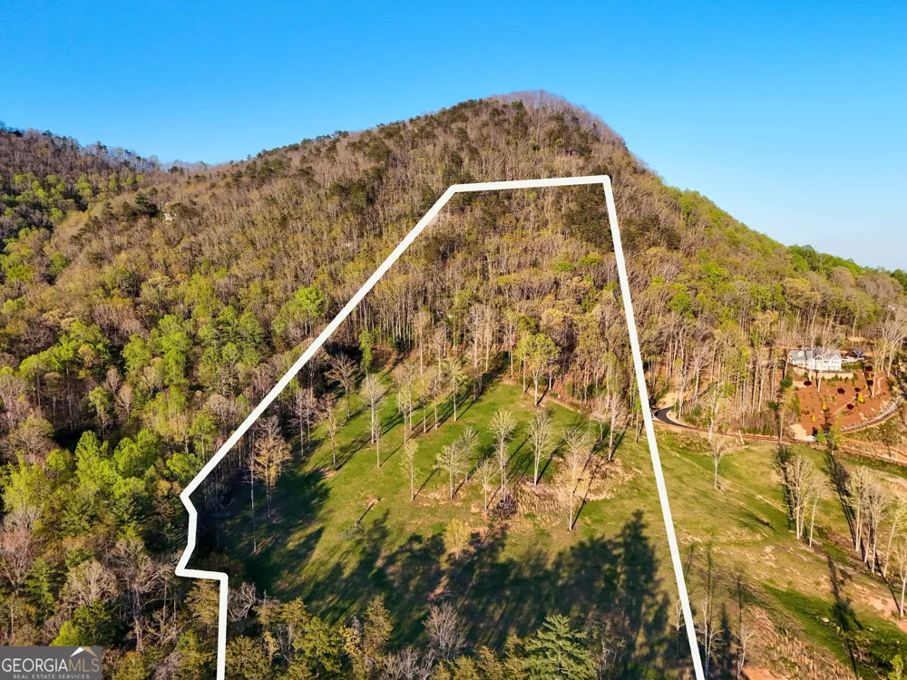 0 David DR Tiger, GA 30576
