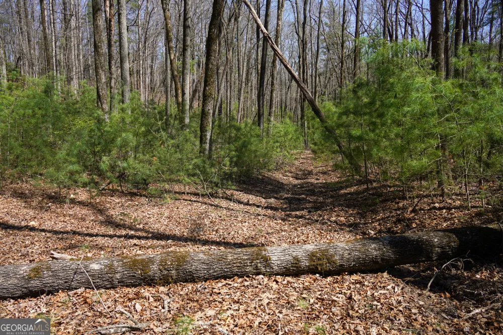 0 Hale Ridge RD Clayton, GA 30525