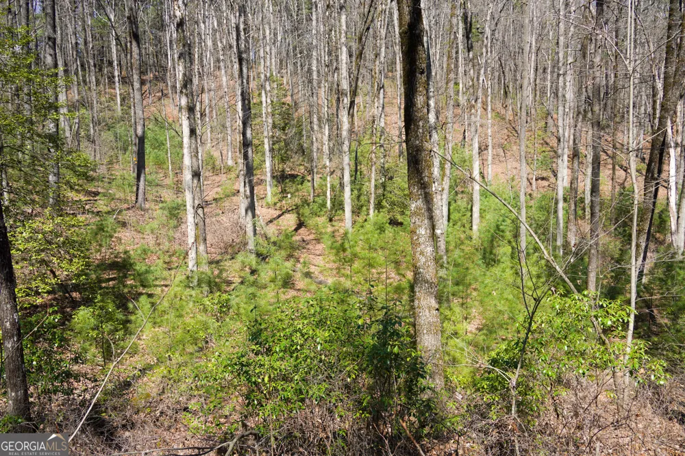 0 Hale Ridge RD Clayton, GA 30525