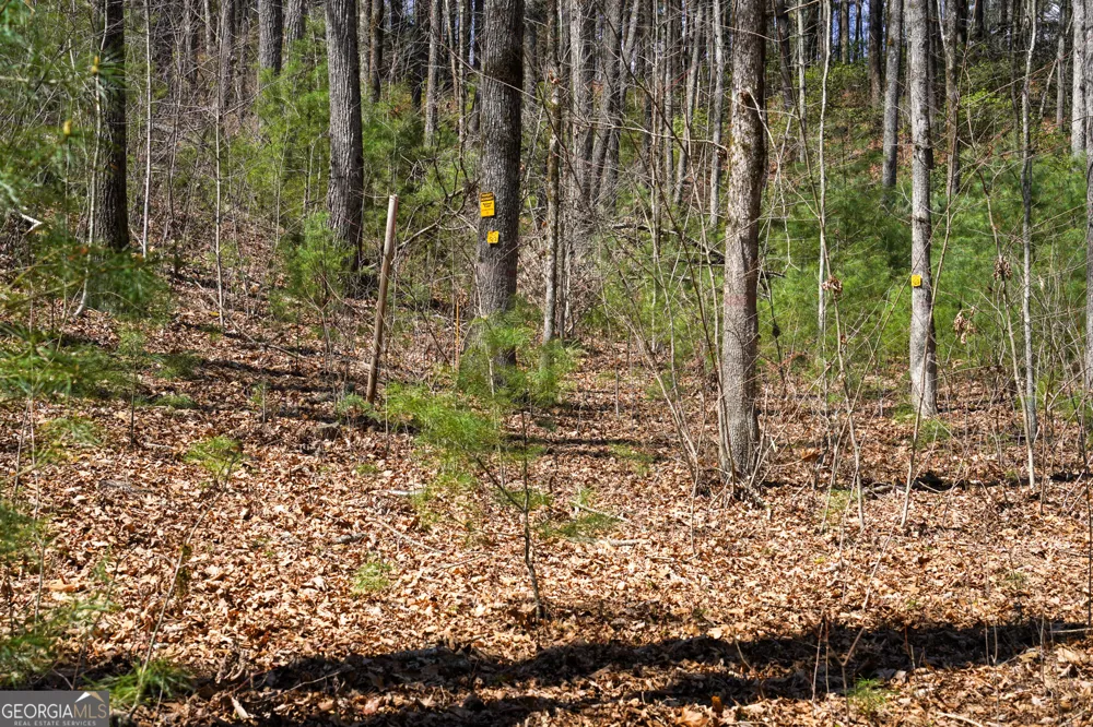 0 Hale Ridge RD Clayton, GA 30525