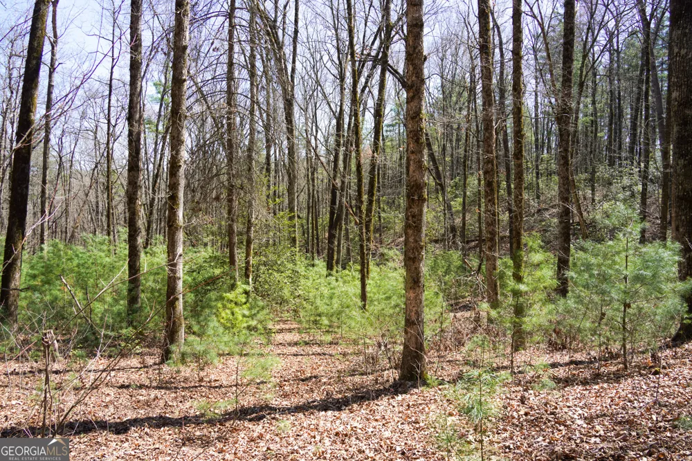 0 Hale Ridge RD Clayton, GA 30525