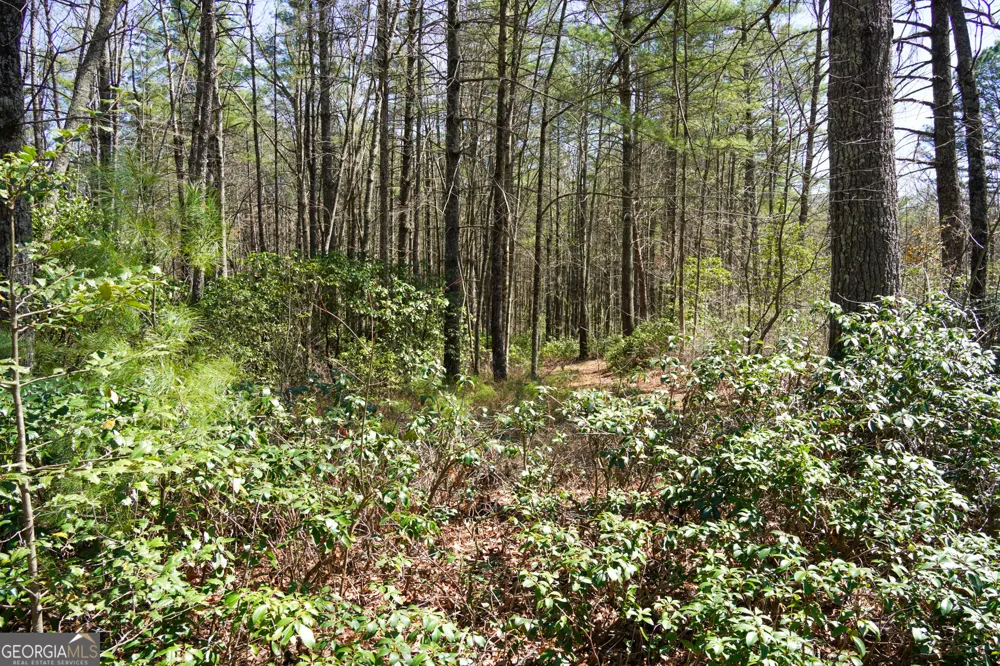 0 Hale Ridge RD Clayton, GA 30525