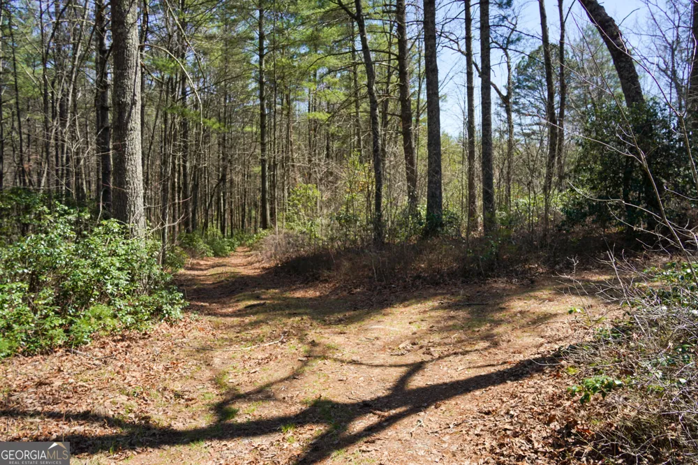 0 Hale Ridge RD Clayton, GA 30525